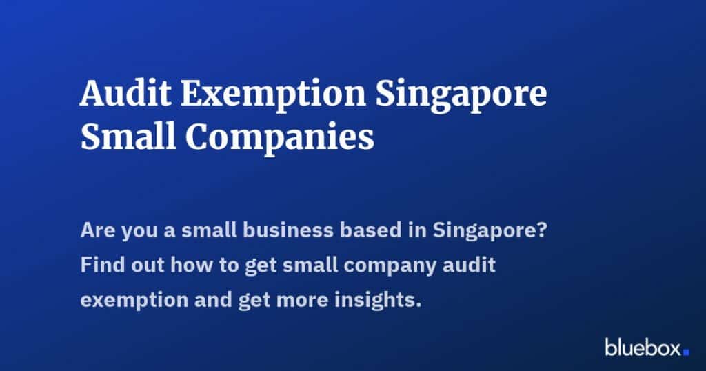 Audit Exemption Singapore Small Companies